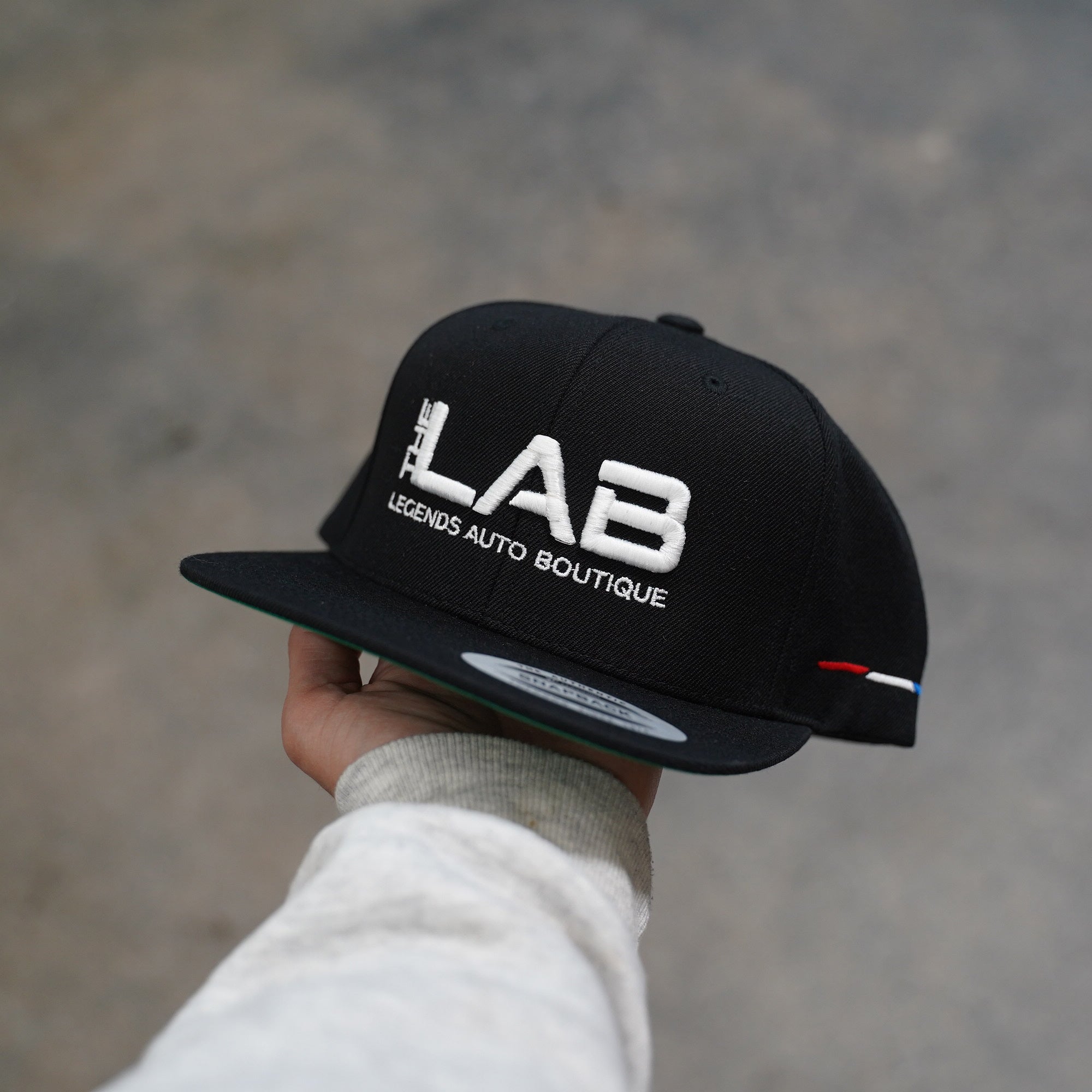 Lab Snapback