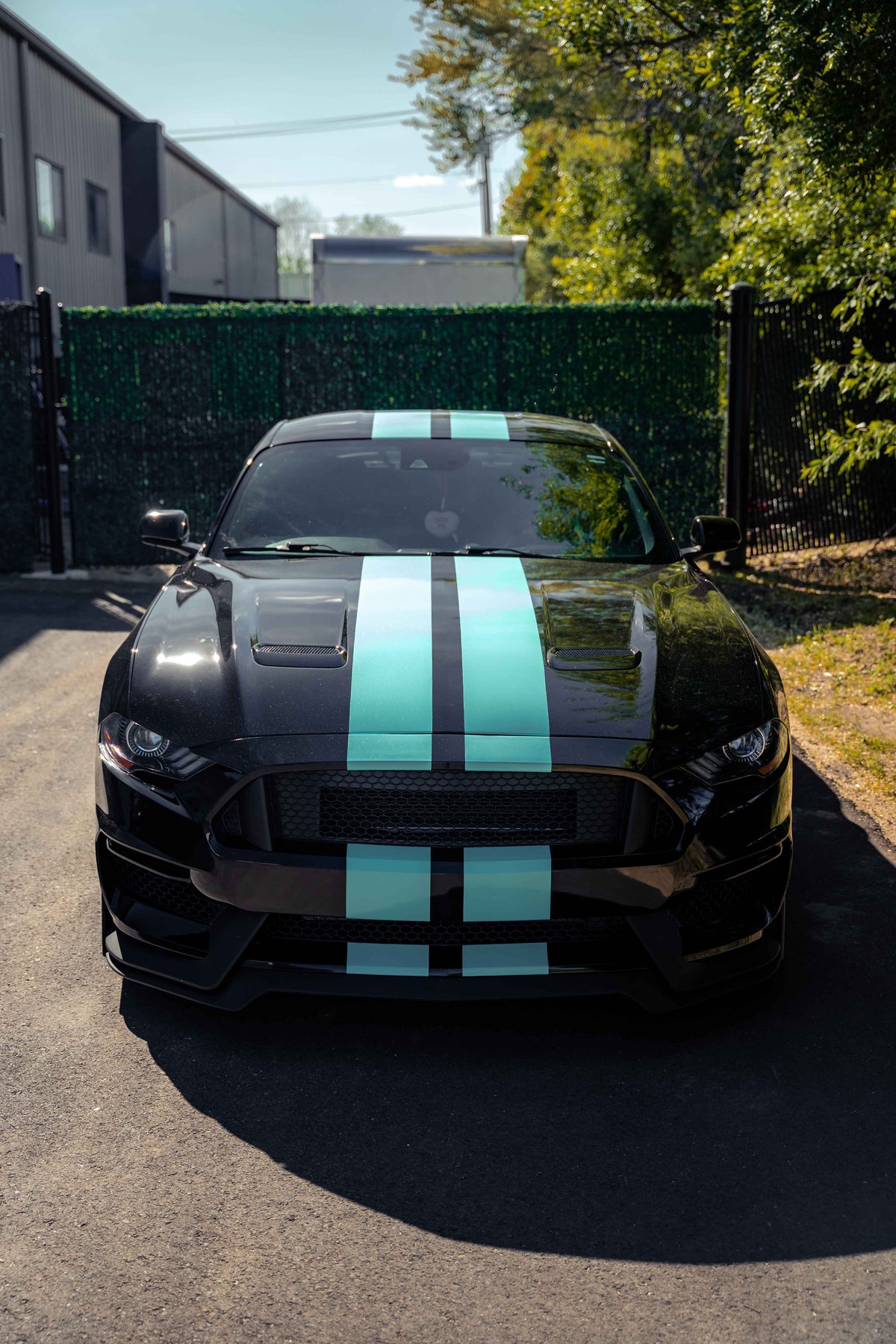 2018 MUSTANG GT 5.0