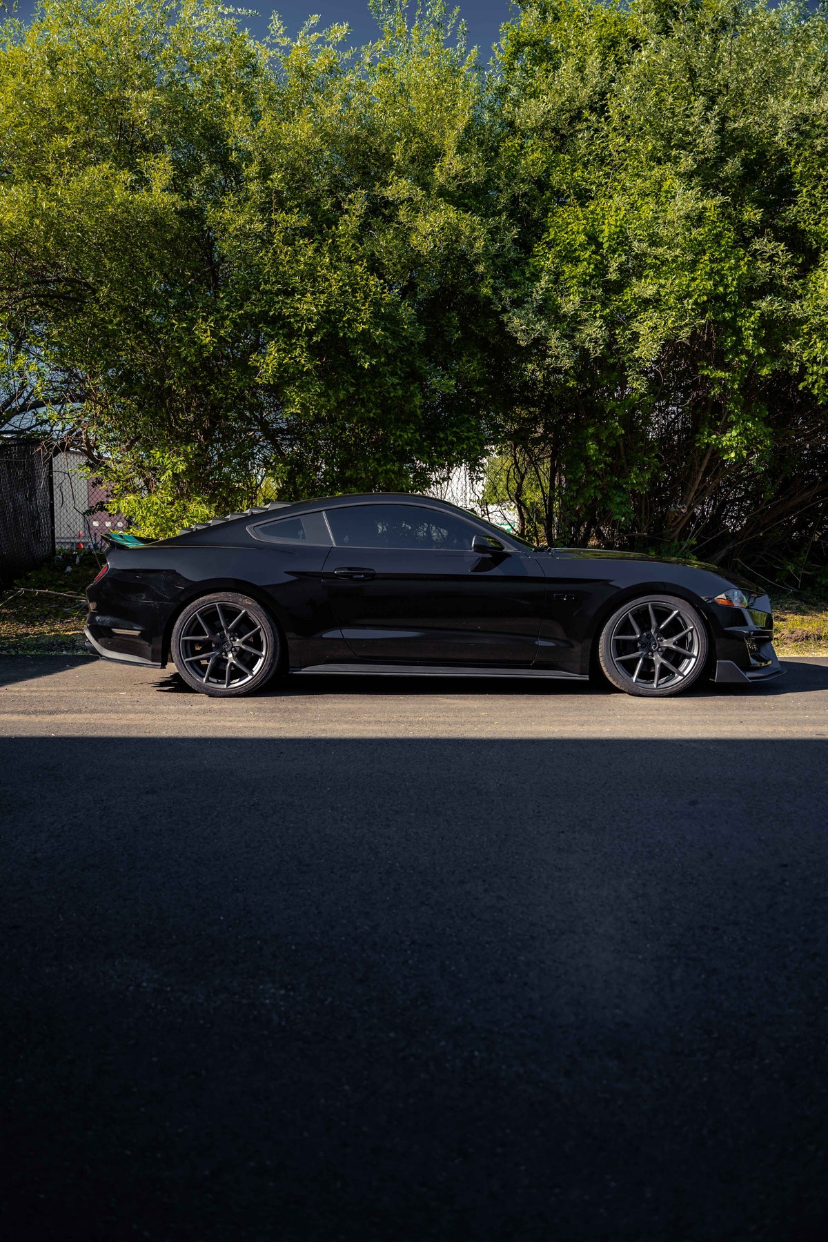 2018 MUSTANG GT 5.0
