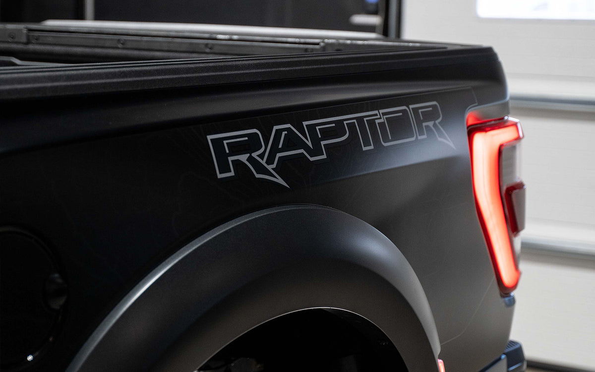 2020 Ford Raptor Makeover